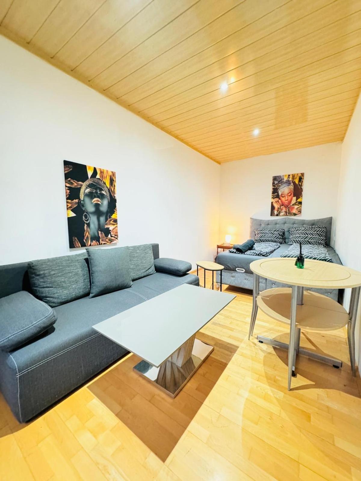 Cozy 4br For Up To 12p 10-min To Fac Platz * Wien